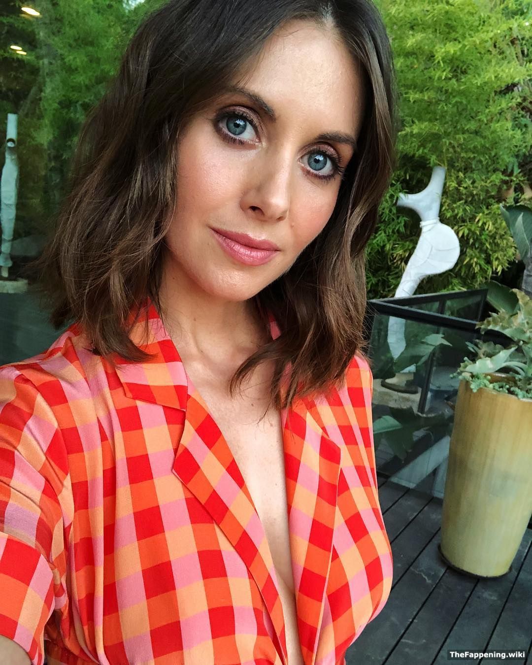 Alison Brie Nude Pics And Vids The Fappening