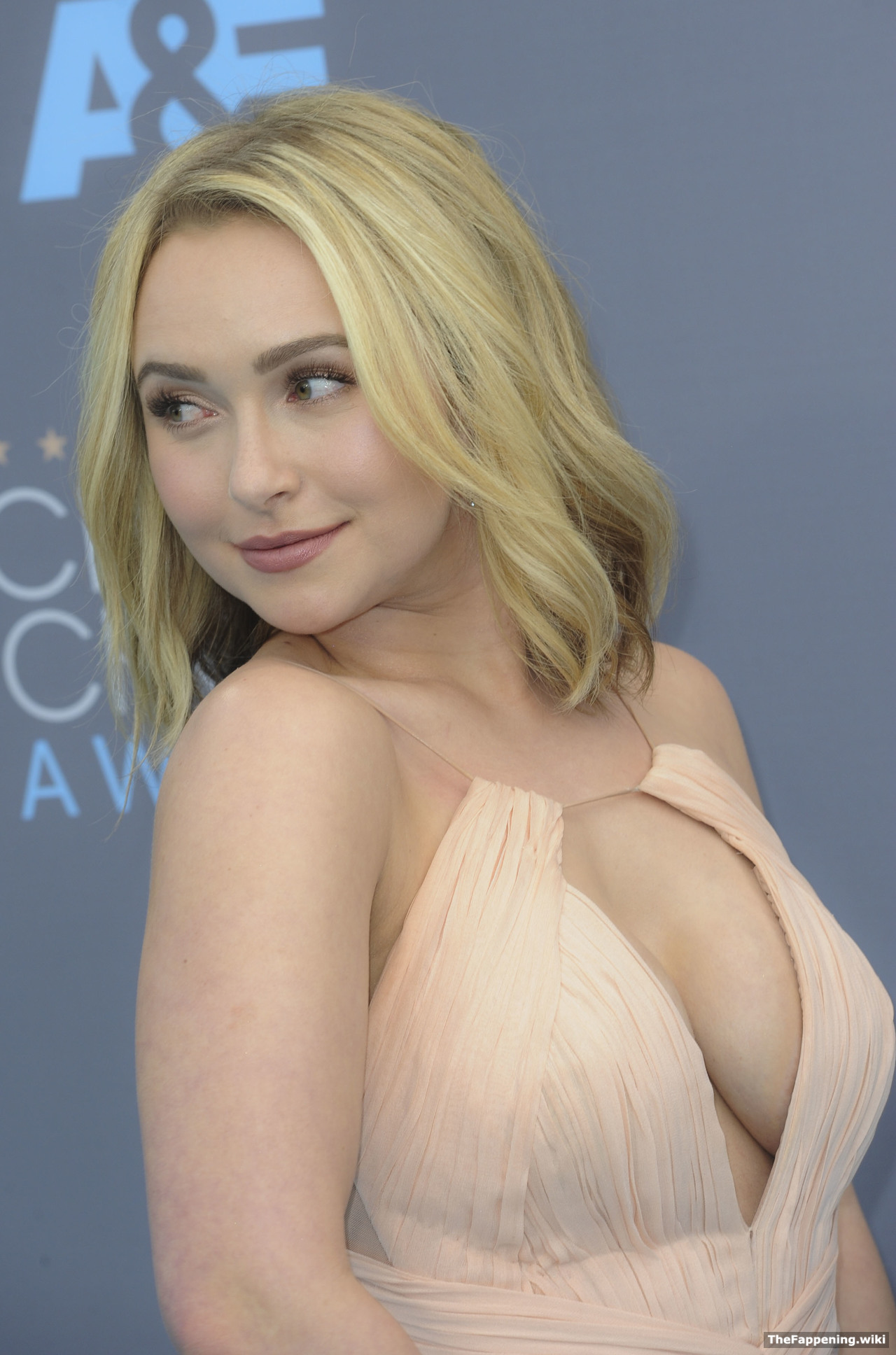 Hayden Panettiere The Fappening