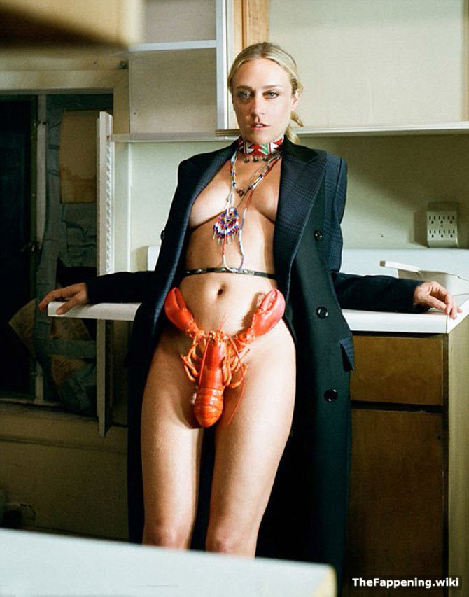 Chloe Sevigny - Chloe Sevigny Nude Pics & Vids - The Fappening